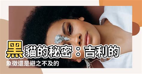 黑貓 意思|Profite Magazine